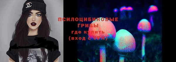 Альфа ПВП Медногорск