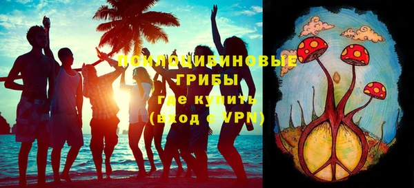 винт Медвежьегорск